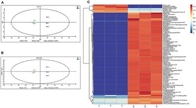 Bacillus licheniformis-based intensive fermentation of Tibetan tea improved its bioactive compounds and reinforced the intestinal barrier in mice